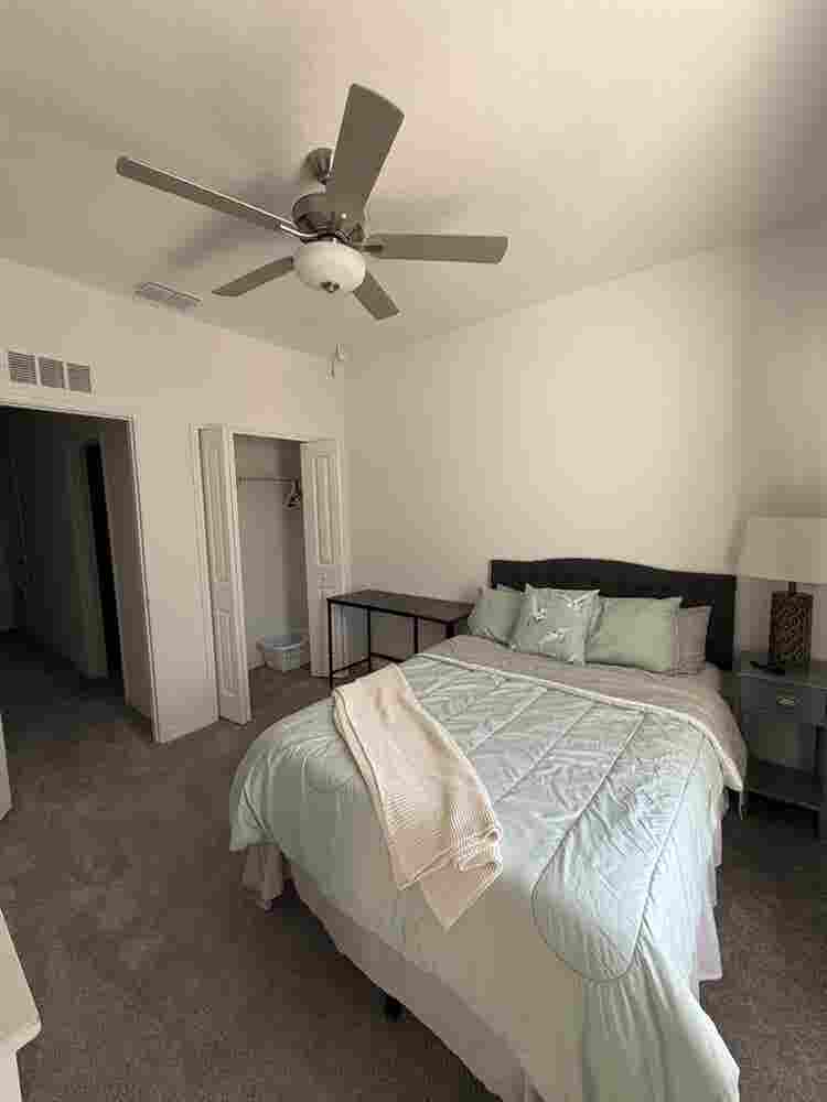 Cozy Room in New Tampa