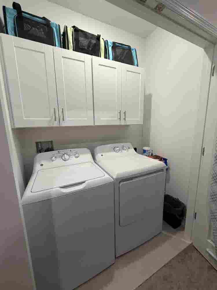 Cozy Room in New Tampa