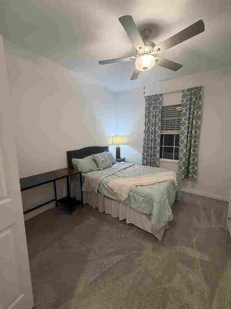 Cozy Room in New Tampa