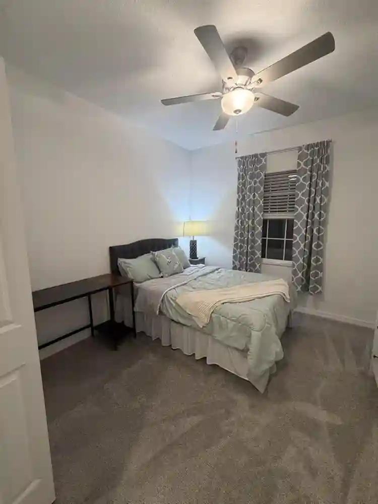 Cozy Room in New Tampa