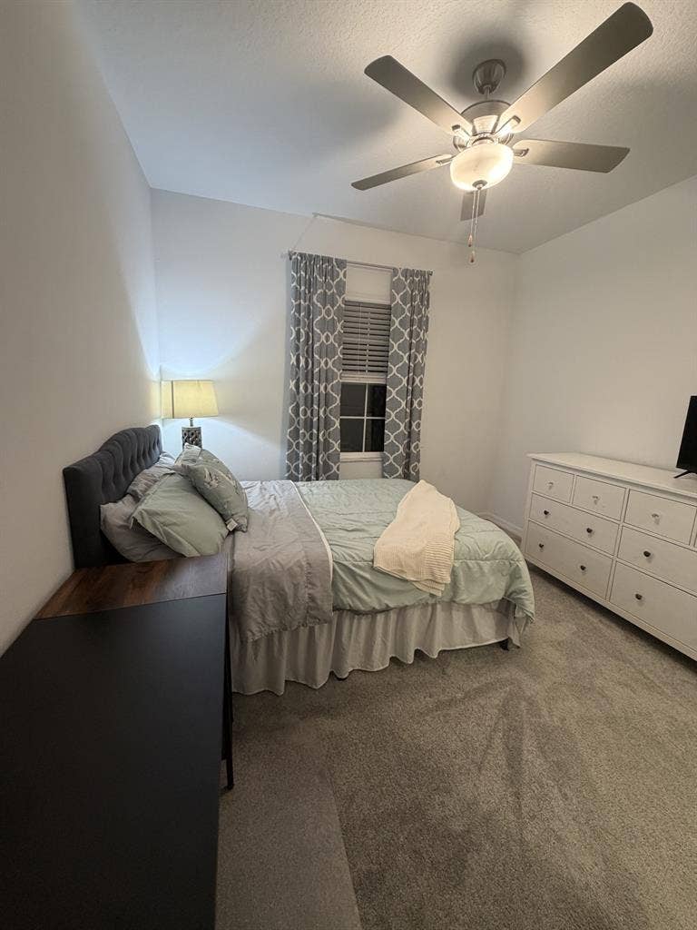 Cozy Room in New Tampa