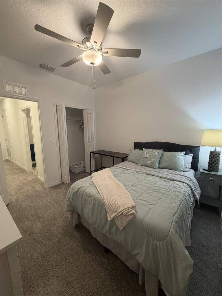 Cozy Room in New Tampa