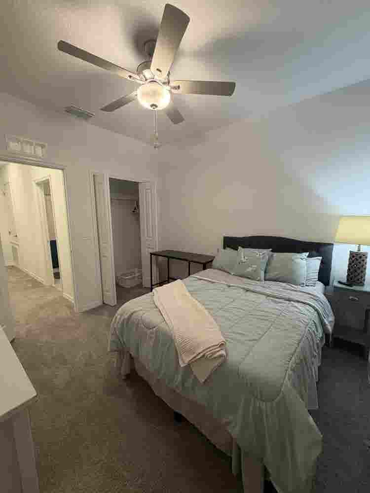 Cozy Room in New Tampa