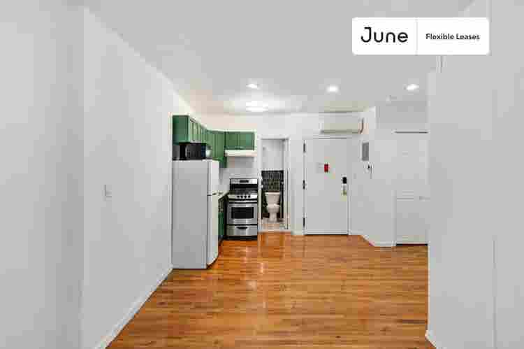 1 BR in New York City