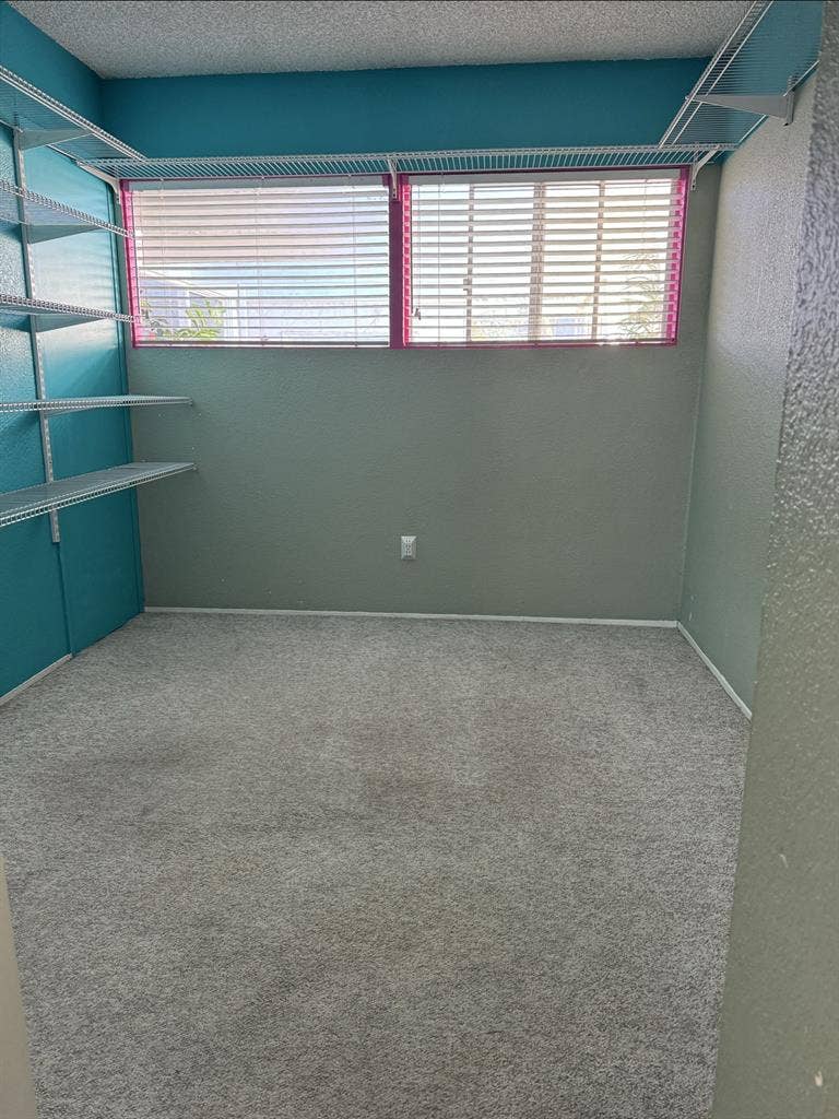 Room in  a Female Only Household