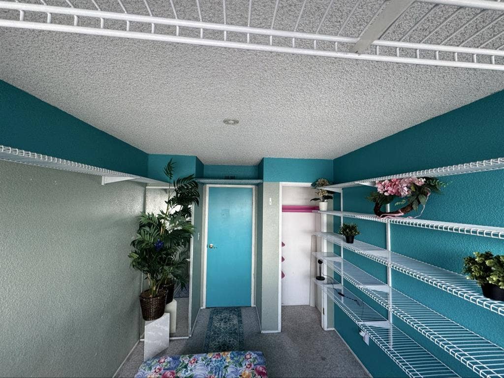 Room in  a Female Only Household