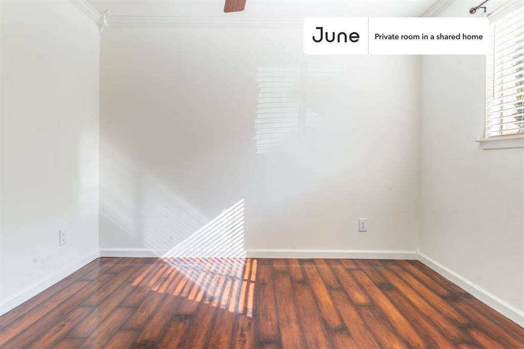 4 BR in Austin