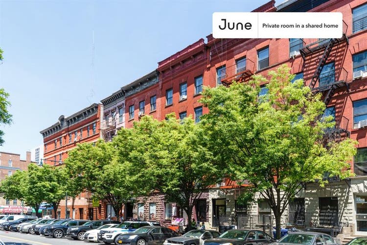 4 BR in New York City