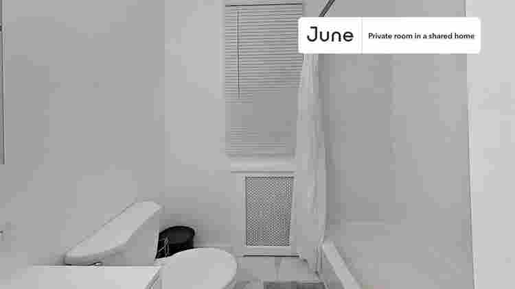 4 BR in Boston