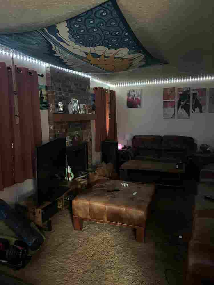 Seeking a solid roommate