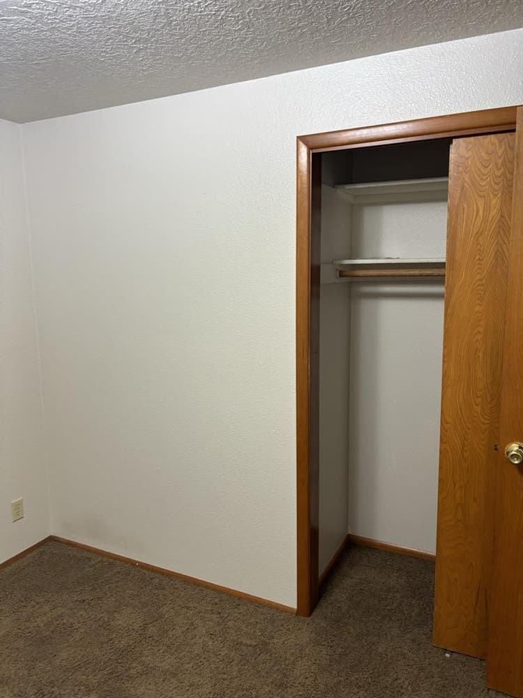 Seeking a solid roommate