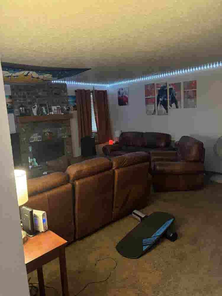 Seeking a solid roommate