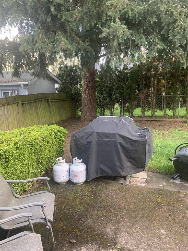 Seeking a solid roommate