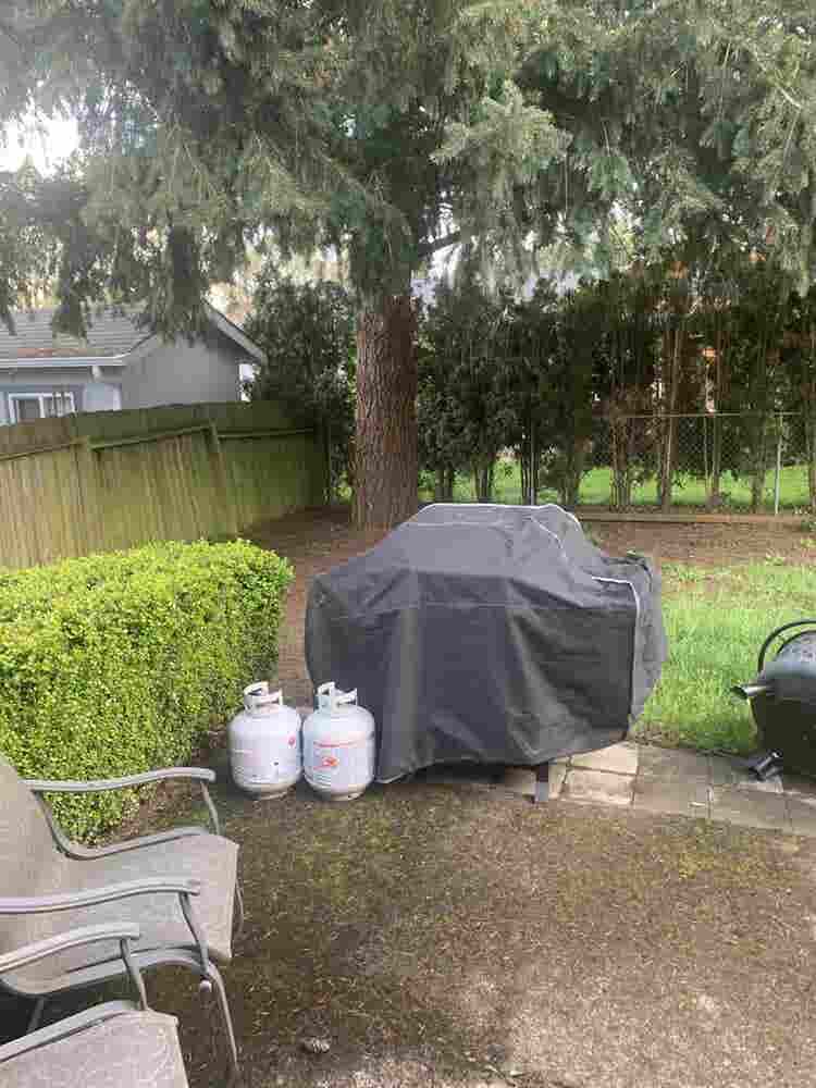 Seeking a solid roommate