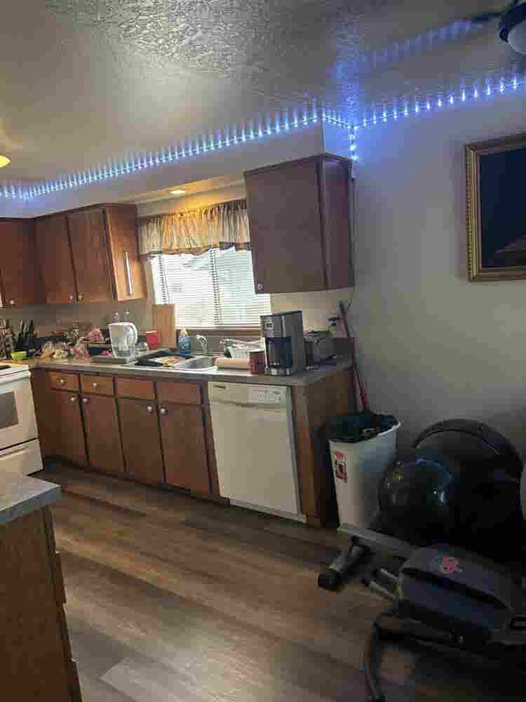 Seeking a solid roommate