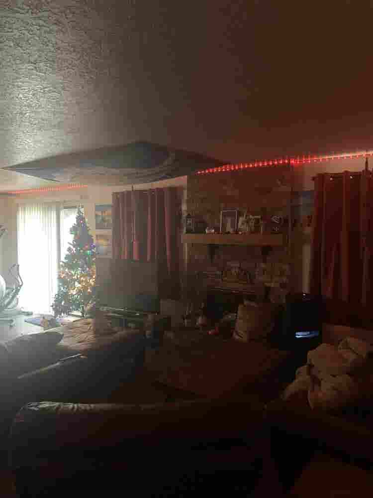 Seeking a solid roommate