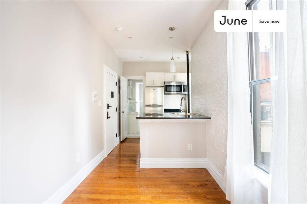 1 BR in New York City