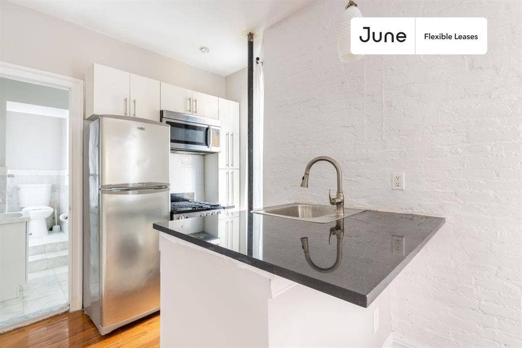 1 BR in New York City