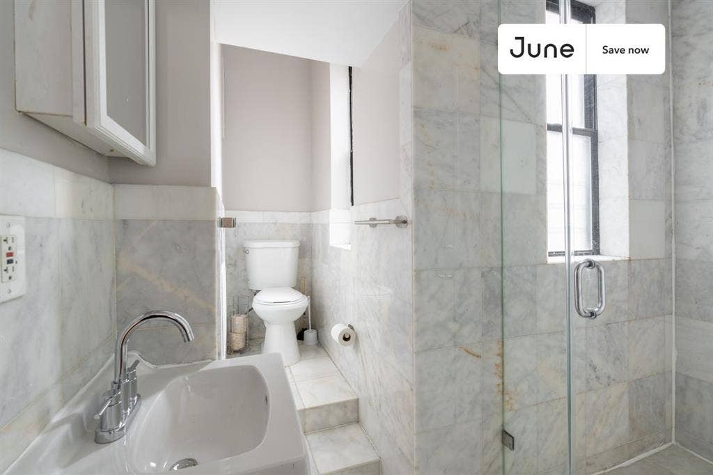 1 BR in New York City