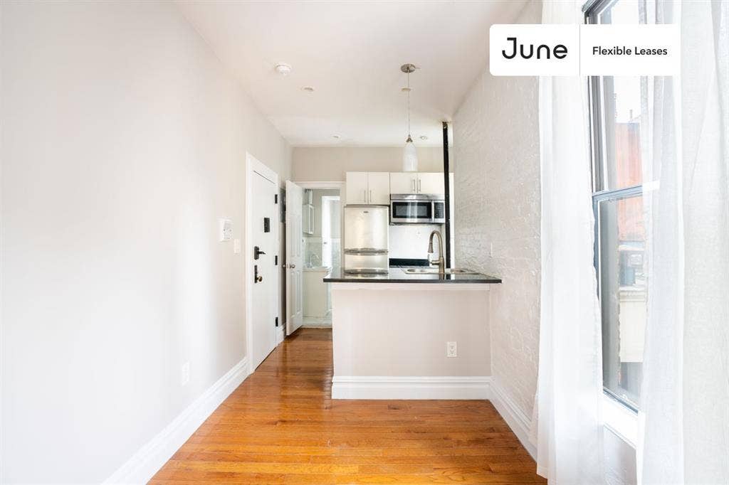 1 BR in New York City