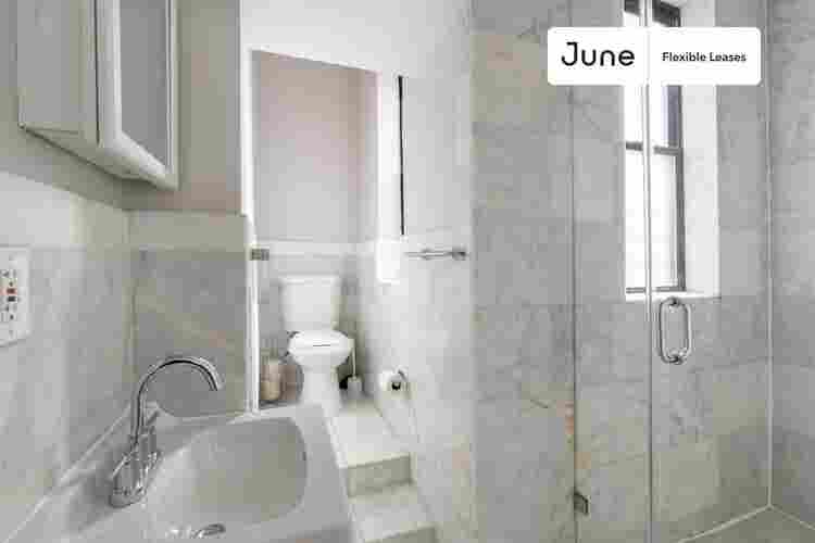 1 BR in New York City