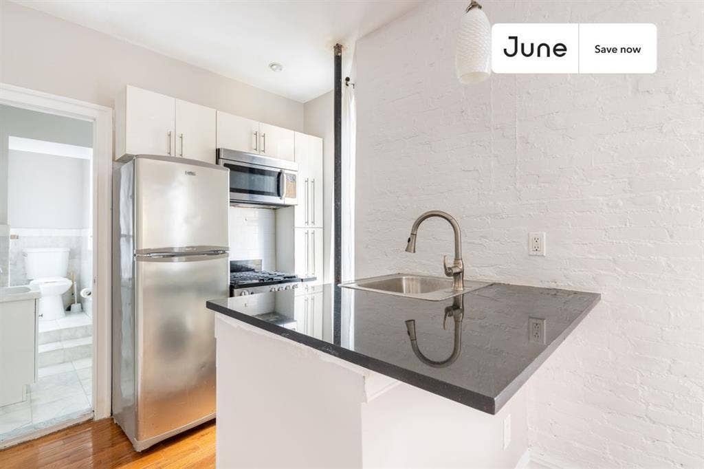 1 BR in New York City