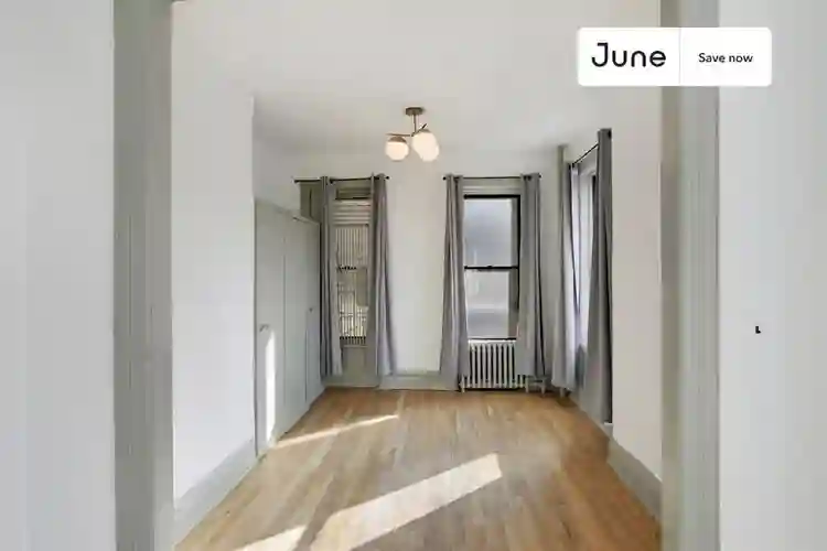 1 BR in New York City