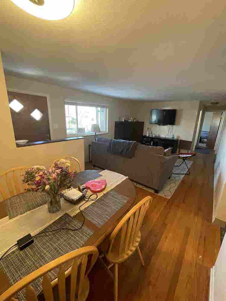 Private Basement Room Available!