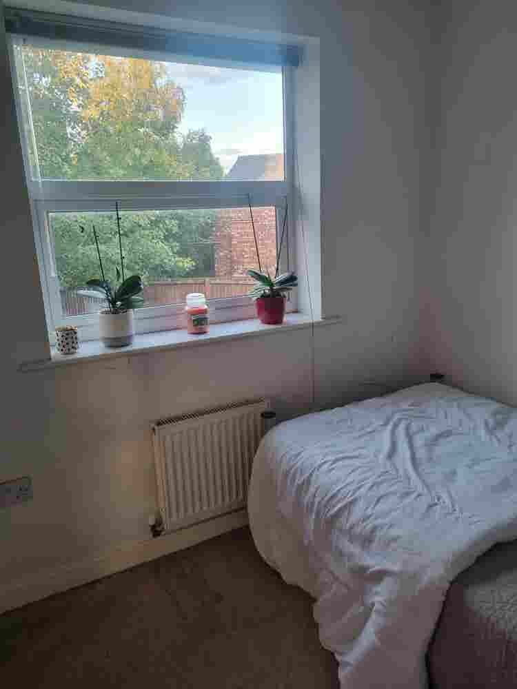 Available room in a beautiful house