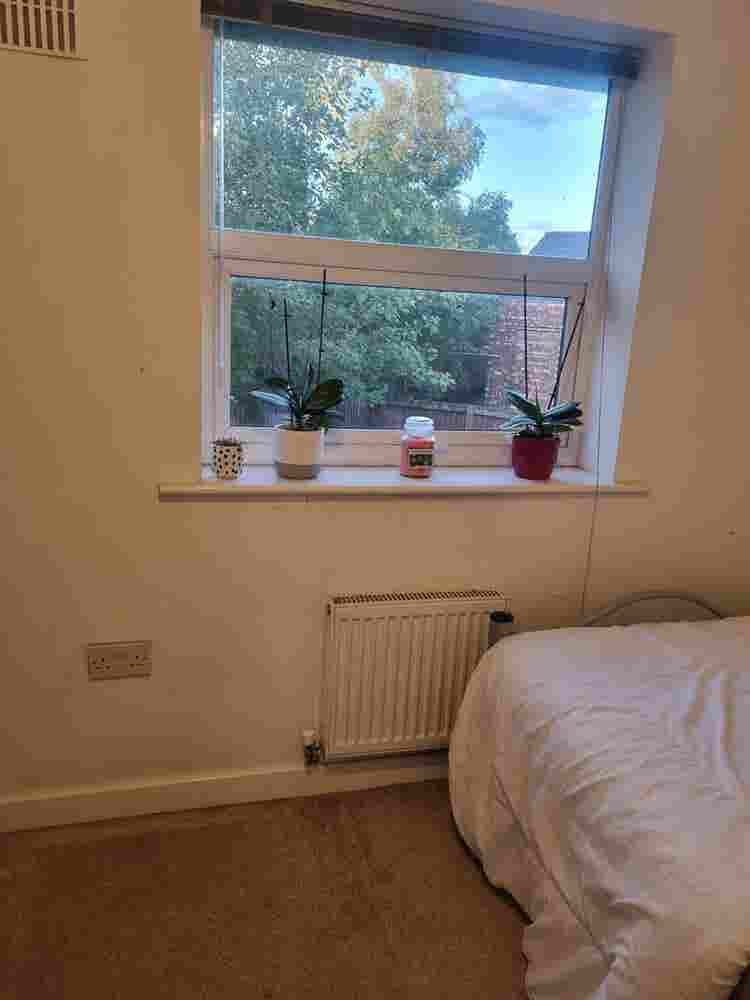 Available room in a beautiful house