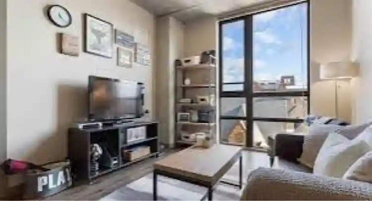 Nice apartment looking for rooomies