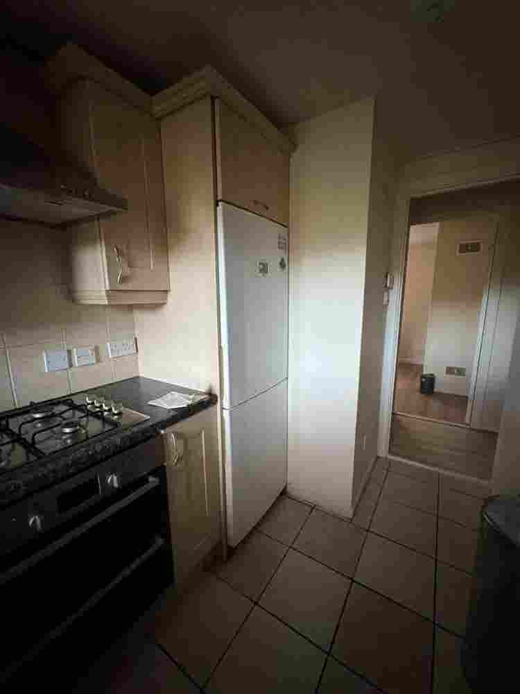 Looking for a female roommate
