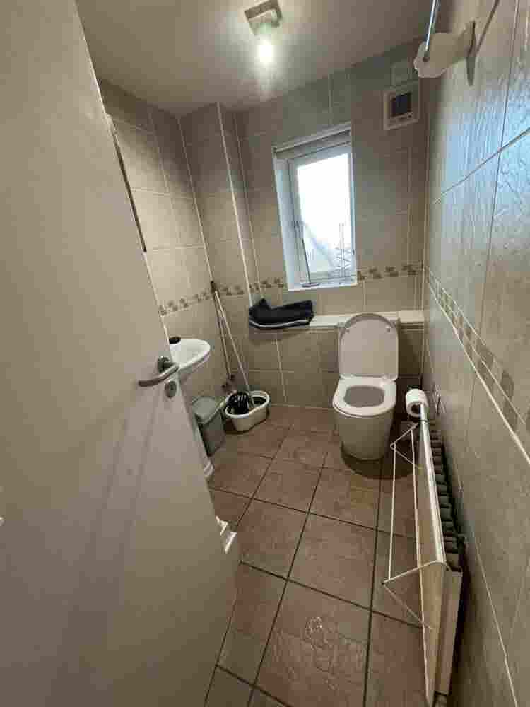 Looking for a female roommate