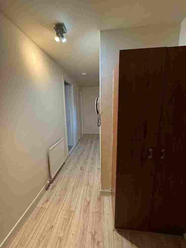 Looking for a female roommate