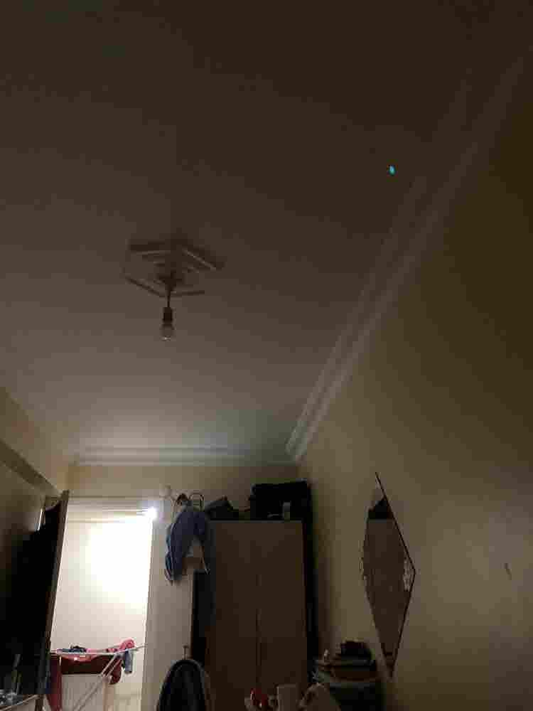 Whole Place for Rent
