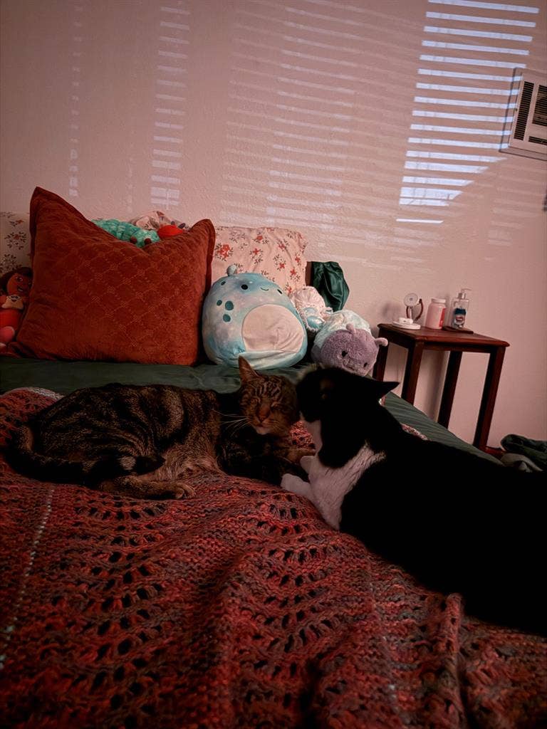 Private Master Bedroom + Own Bath