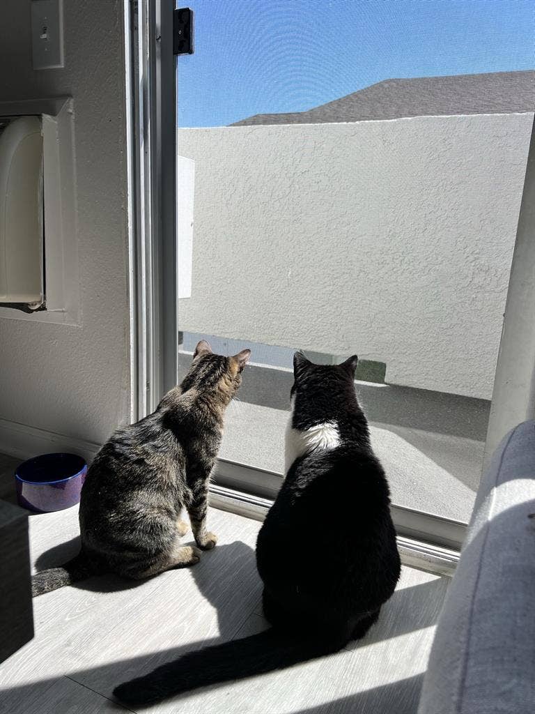 Private Master Bedroom + Own Bath