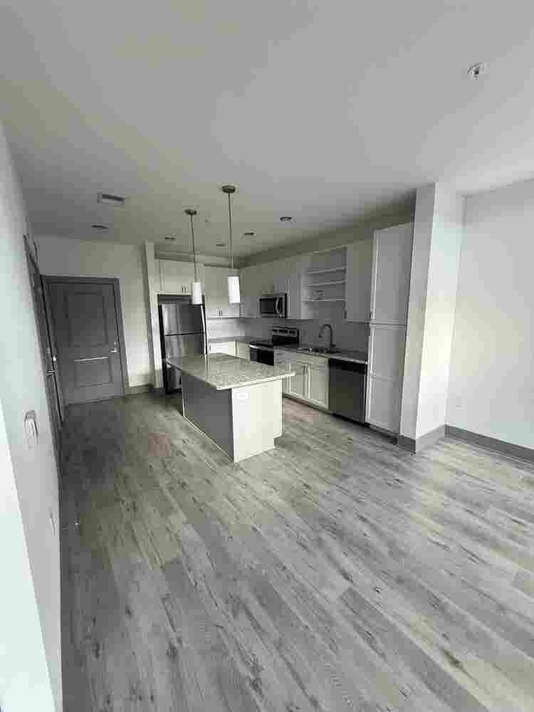 Luxury Modern 1-Bedroom Apartment