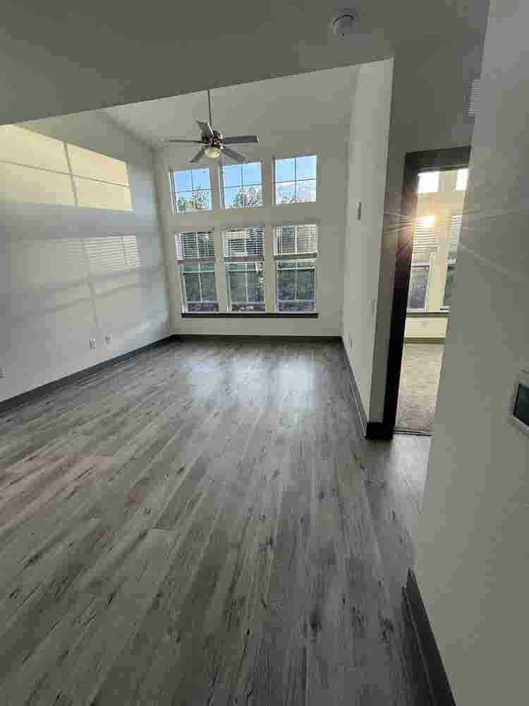 Luxury Modern 1-Bedroom Apartment