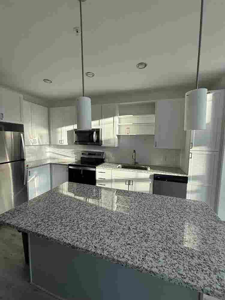 Luxury Modern 1-Bedroom Apartment