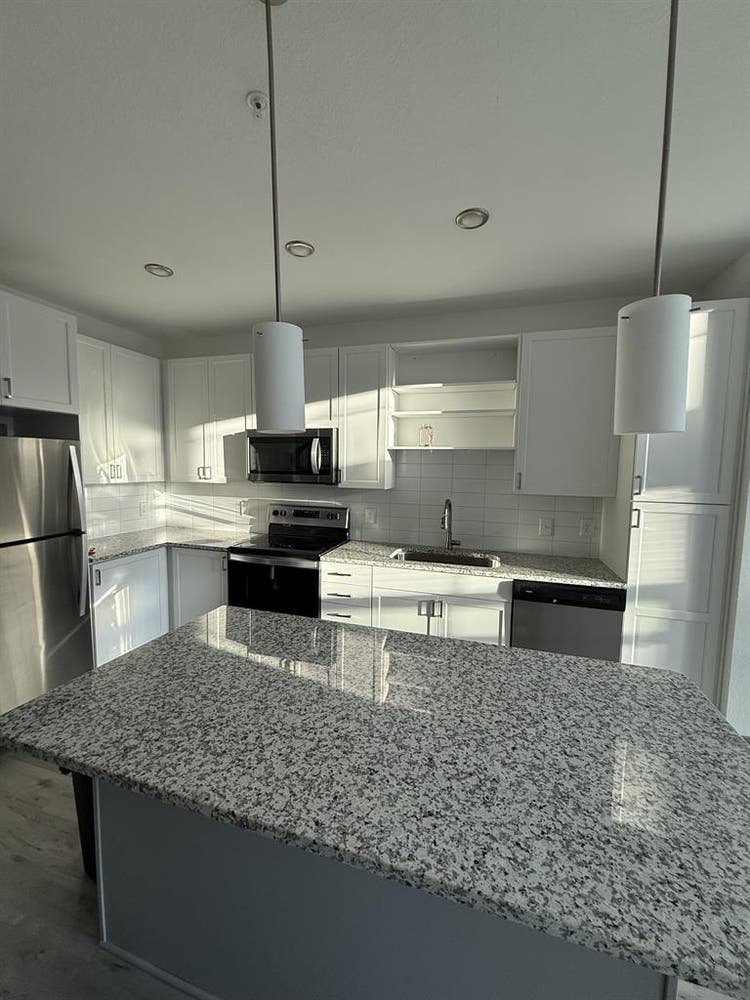 Luxury Modern 1-Bedroom Apartment