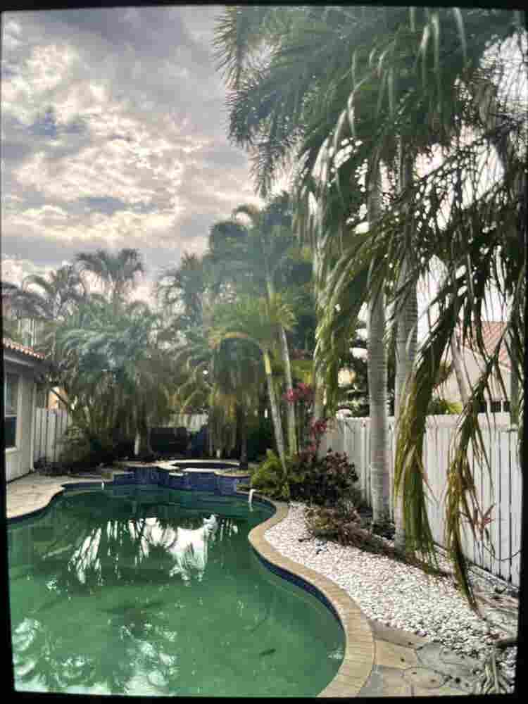 Master suite for rent
