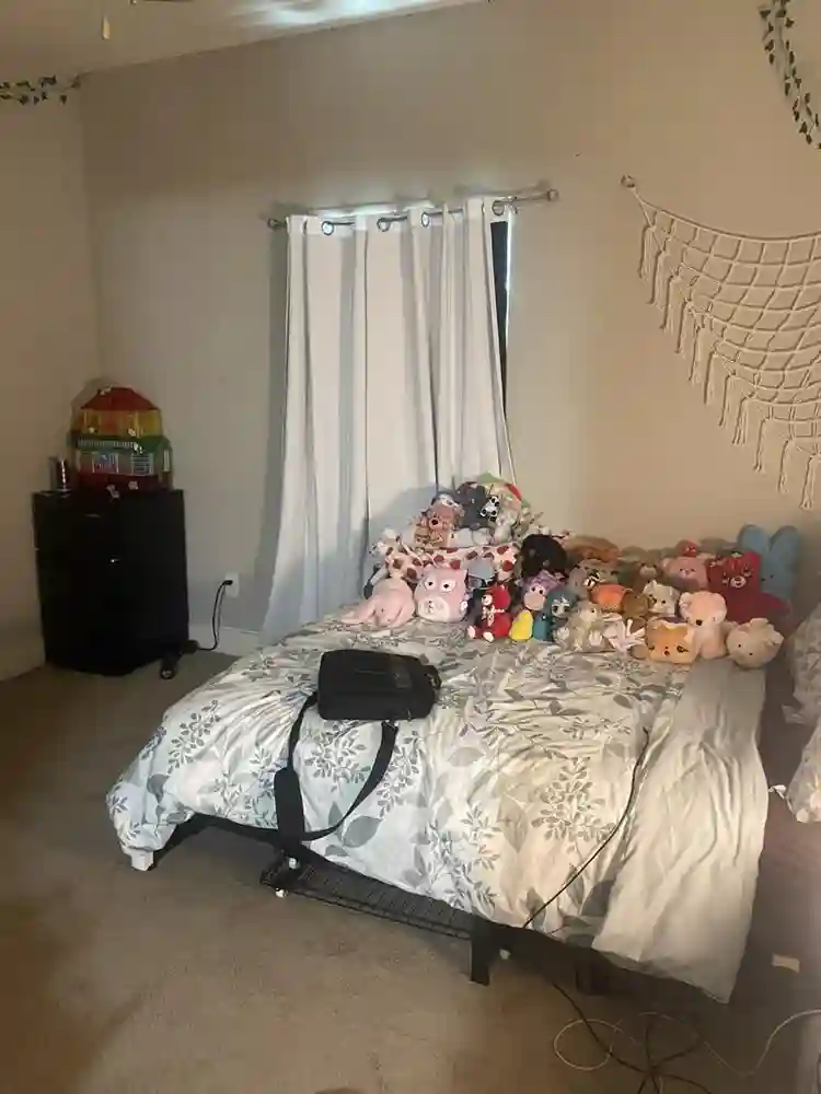 Looking to move out by December