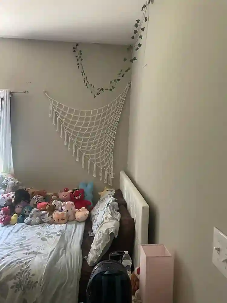 Looking to move out by December