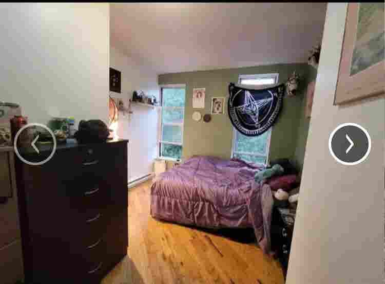 Sunny East Williamsburg Room