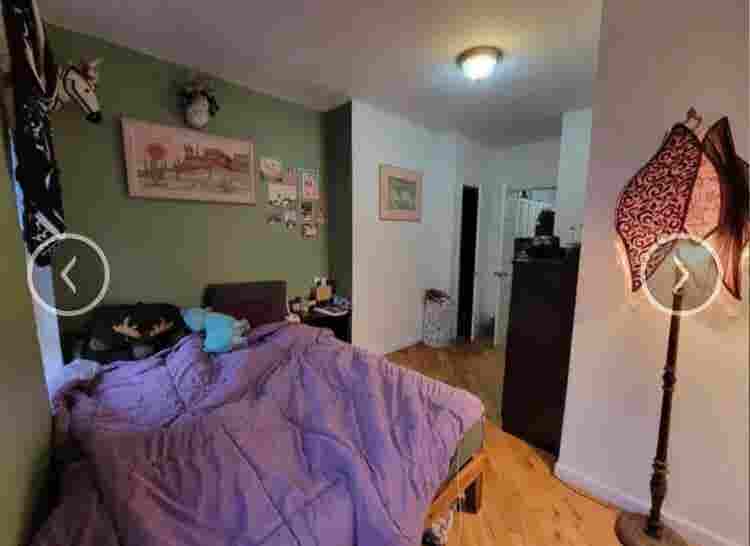 Sunny East Williamsburg Room
