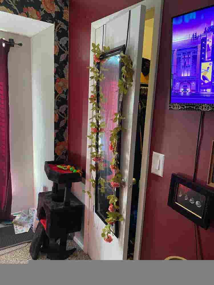 Iso Roomate in St. Petersburg