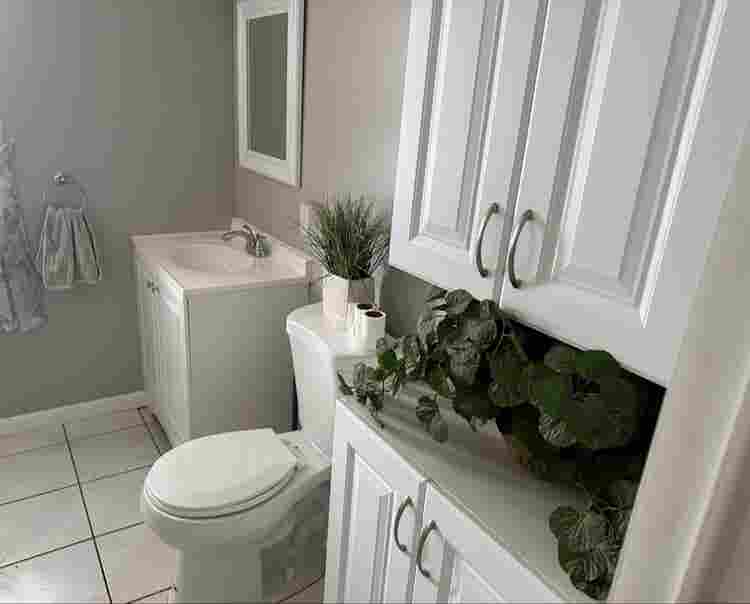 Roommate wanted