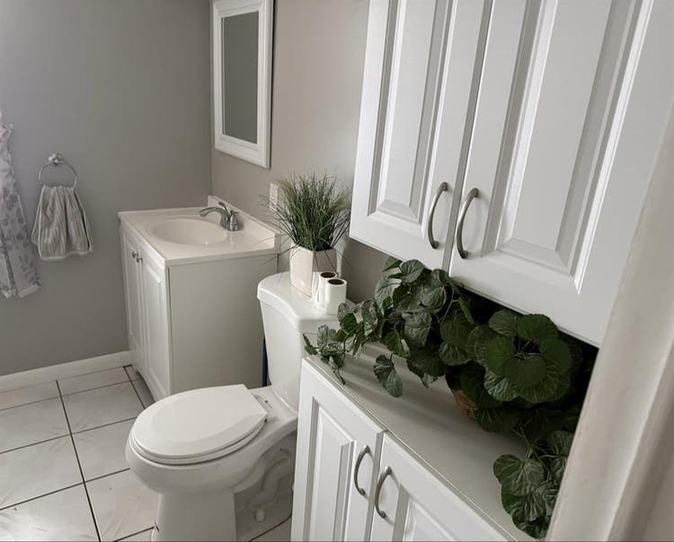 Roommate wanted