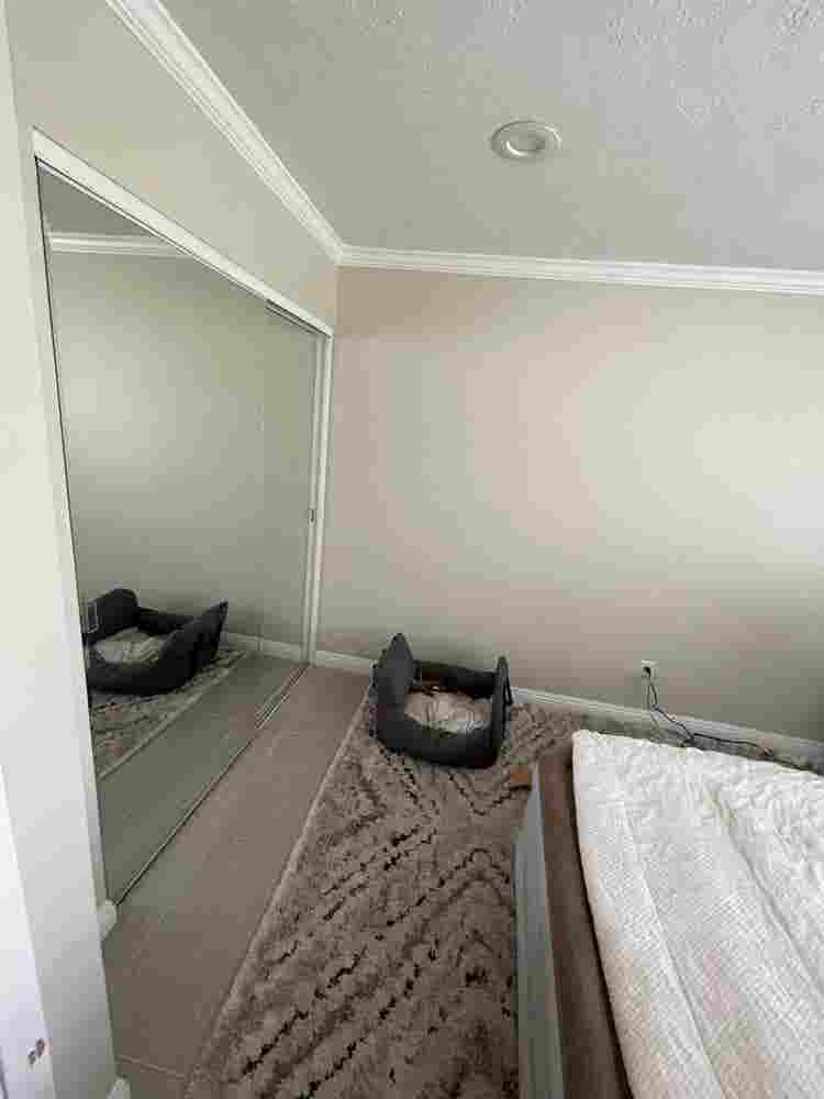 Room for Rent near South Coast
